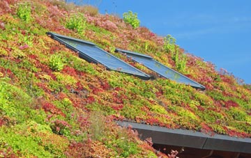 Lavington Sands living roof systems
