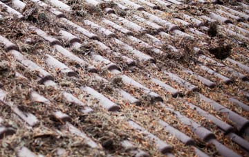 Lavington Sands roof cleaning companies