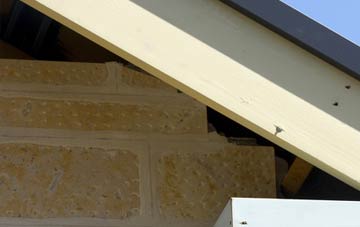 soffit repair Lavington Sands