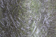 Lavington Sands fibreglass roof work